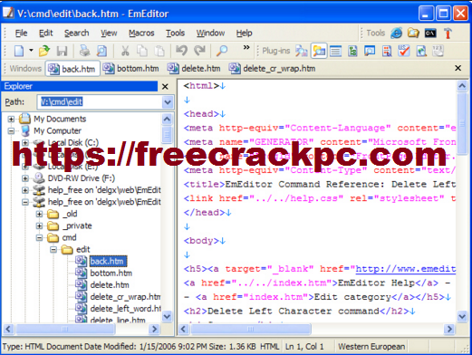 EmEditor Professional Crack 20.6.1 (64-bit) + Keygen Free 